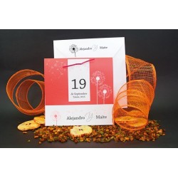 Invitaciones de boda 100678